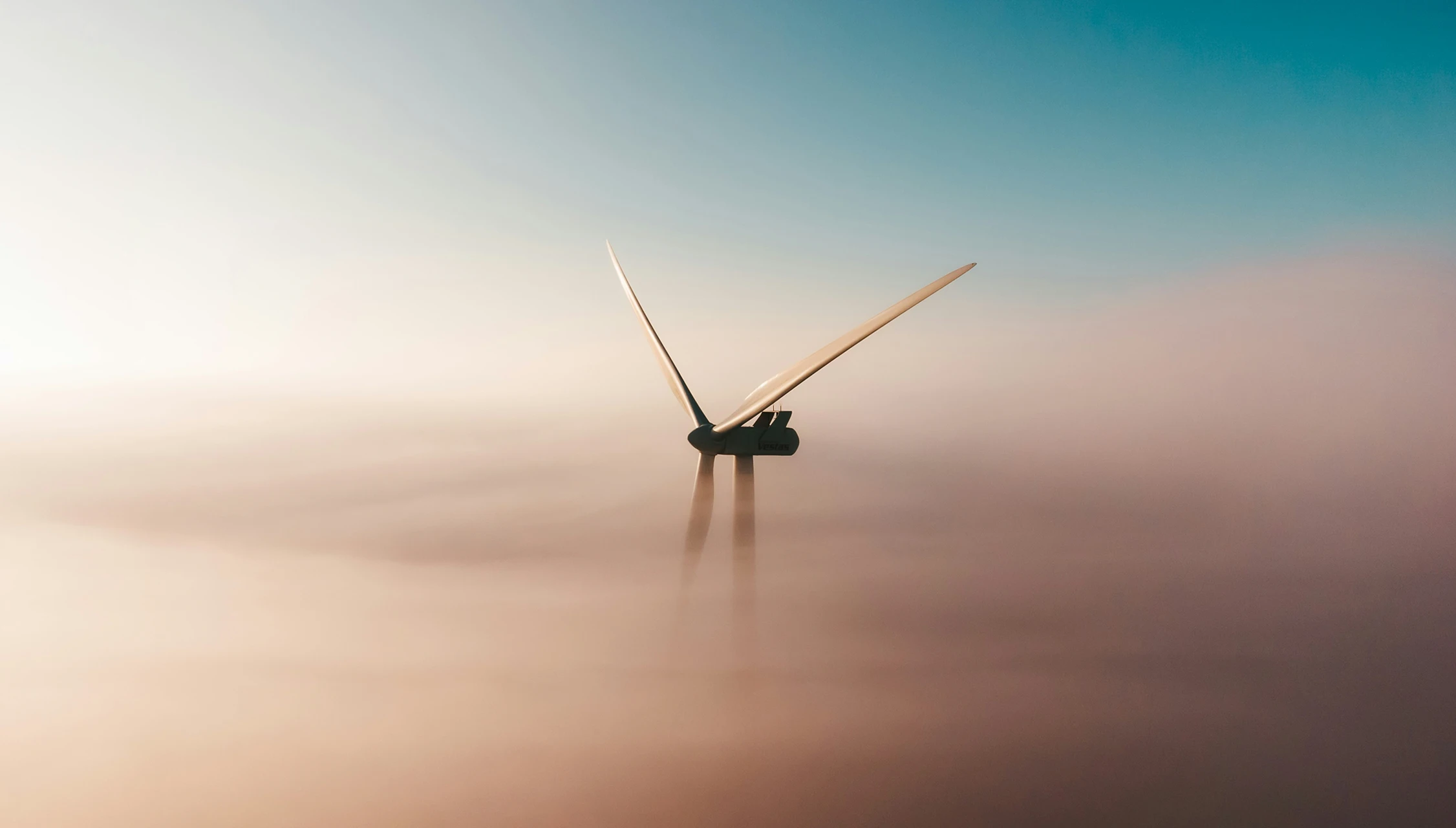 Low Carbon Contracts Company | Case Study